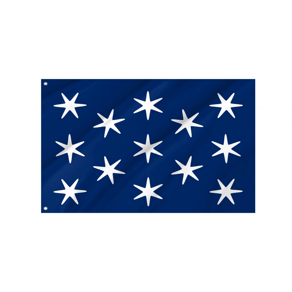 George Washington Personal Position Flag for Indoor & Outdoor Use George Washington Personal Position Flag for Indoor & Outdoor Use