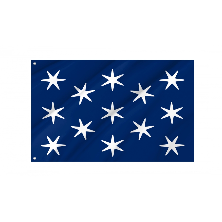 George Washington Personal Position Flag, Patriotic Flags, Unique Design Print, Flags for Indoor & Outdoor Use