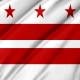 Washington DC State Flag for Indoor & Outdoor Use - Imagine 2