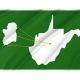 Ireland, West Virginia Flag for Indoor & Outdoor Use - Imagine 2