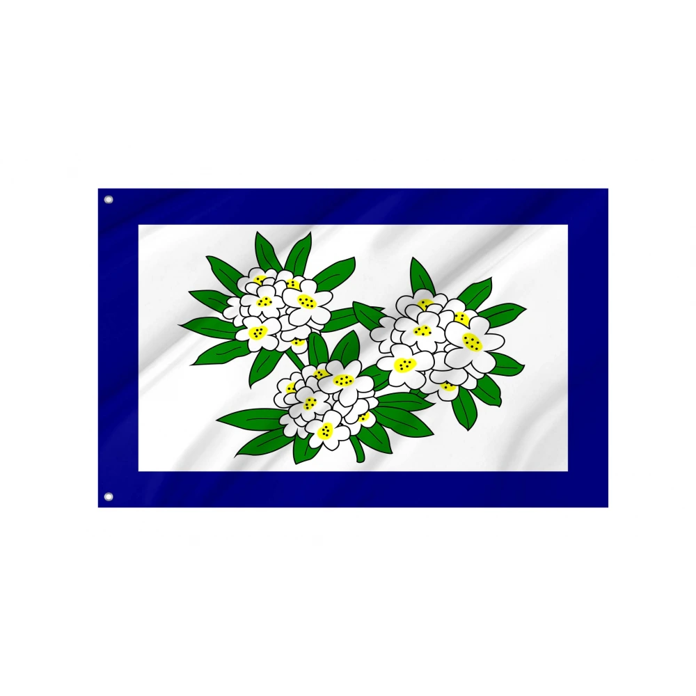 West Virginia Obverse 1905-1907 Flag for Indoor & Outdoor Use