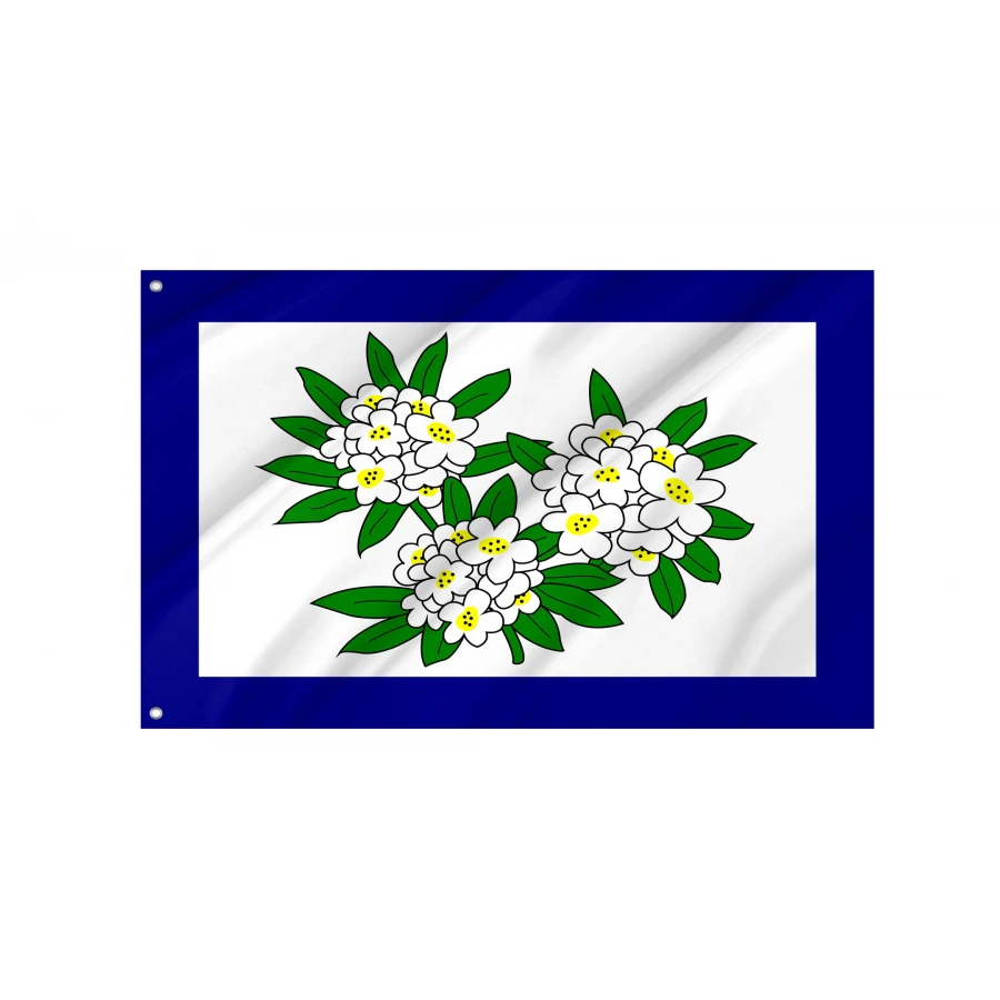 West Virginia Obverse 1905-1907 Flag for Indoor & Outdoor Use, USA498