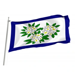 West Virginia Obverse 1905-1907 Flag for Indoor & Outdoor Use