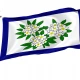 West Virginia Obverse 1905-1907 Flag - Imagine 1