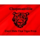 Chapmanville (2008-2022) Flag for Indoor & Outdoor Use - Imagine 2