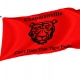 Chapmanville (2008-2022) Flag for Indoor & Outdoor Use - Imagine 1