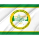 Fayetteville Flag for Indoor & Outdoor Use - Imagine 2