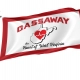 Gassaway Flag for Indoor & Outdoor Use - Imagine 1