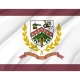 Marion County, West Virginia Flag for Indoor & Outdoor Use - Imagine 2