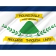 Moundsville Flag for Indoor & Outdoor Use - Imagine 2