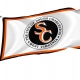 South Charleston Flag for Indoor & Outdoor Use - Imagine 1