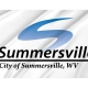 Summersville Flag for Indoor & Outdoor Use - Imagine 2