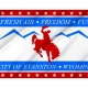 Evanston (1992-2021) Flag for Indoor & Outdoor Use - Imagine 2