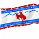 Evanston (1992-2021) Flag for Indoor & Outdoor Use - Imagine 1