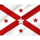 Alabama Centennial 1919 Flag - Imagine 2