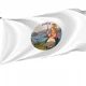 California 1861-1864 Flag for Indoor & Outdoor Use - Imagine 1