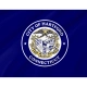 Hartford Flag for Indoor & Outdoor Use - Imagine 2