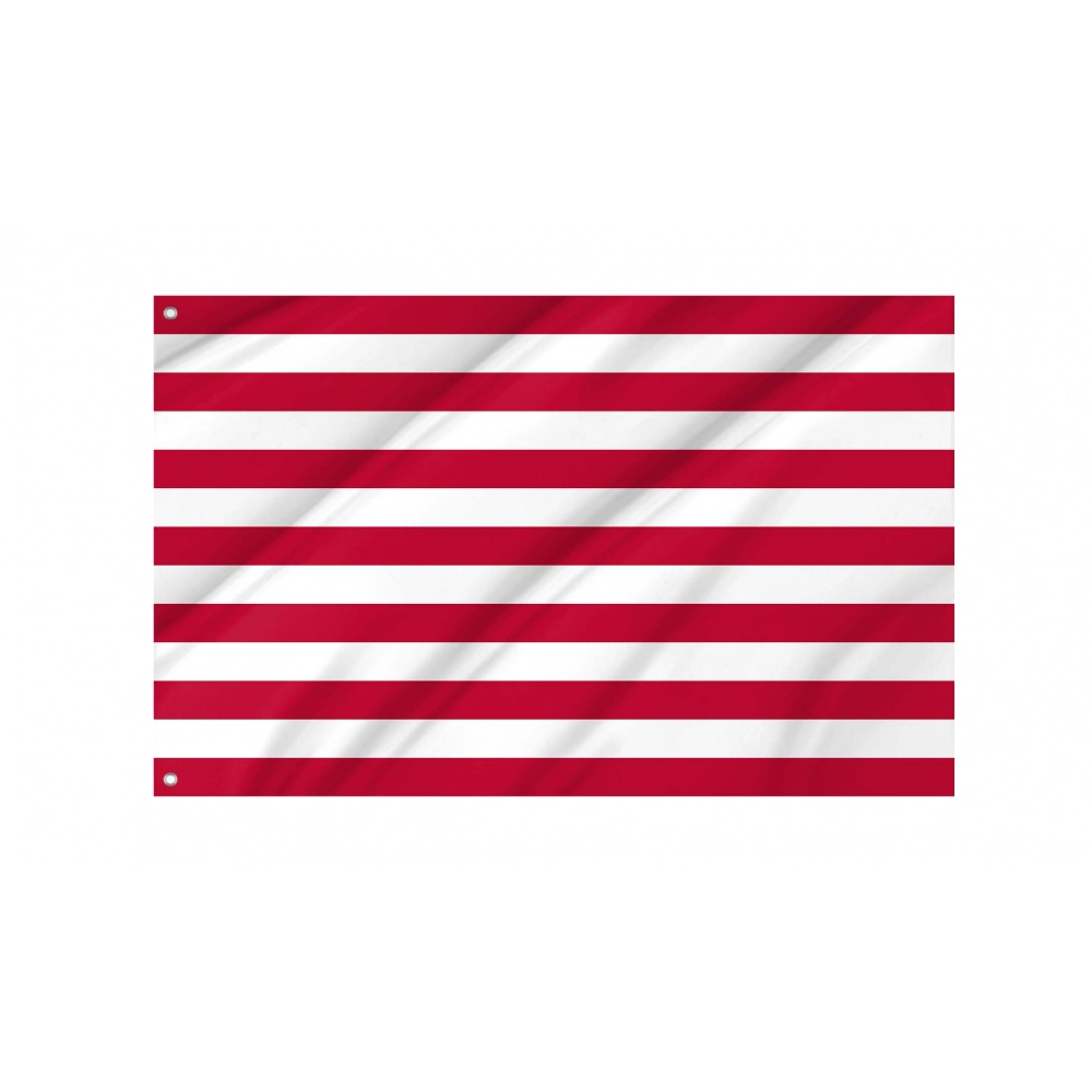 Naval jack of the United States (1776-1777) Flag