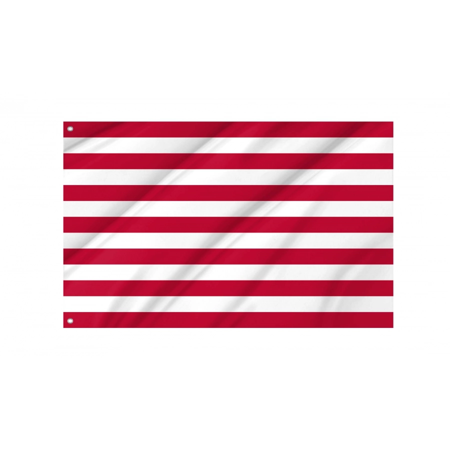 Naval jack of the United States (1776-1777) Flag, USA454
