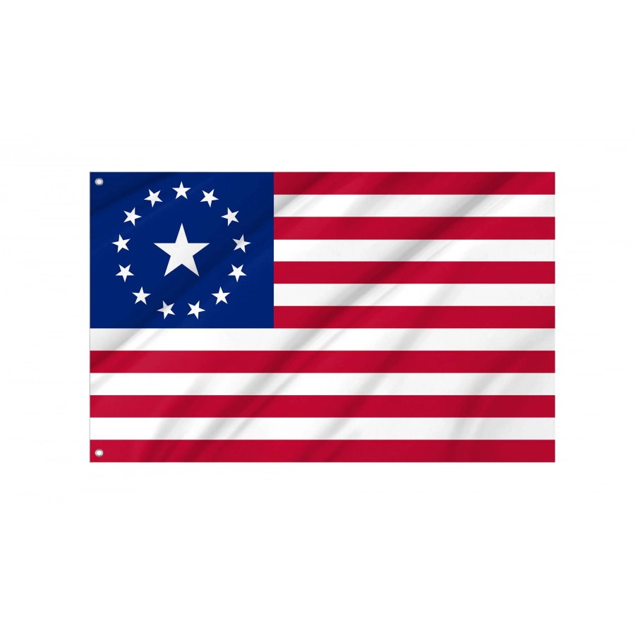 United States from the Fallout Series of Video Games Flag, USA459