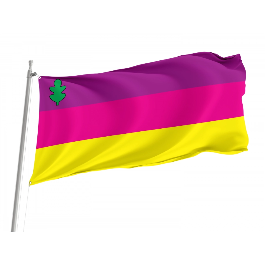 Flag of Dykanka Region, Poltava District, Patriotic Flags, Unique Design Print, Flags for Indoor & Outdoor Use