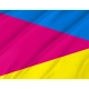 Ichnyanskyi Flag for Indoor & Outdoor Use - Imagine 2