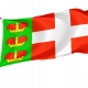 Iziaslav Flag for Indoor & Outdoor Use - Imagine 1