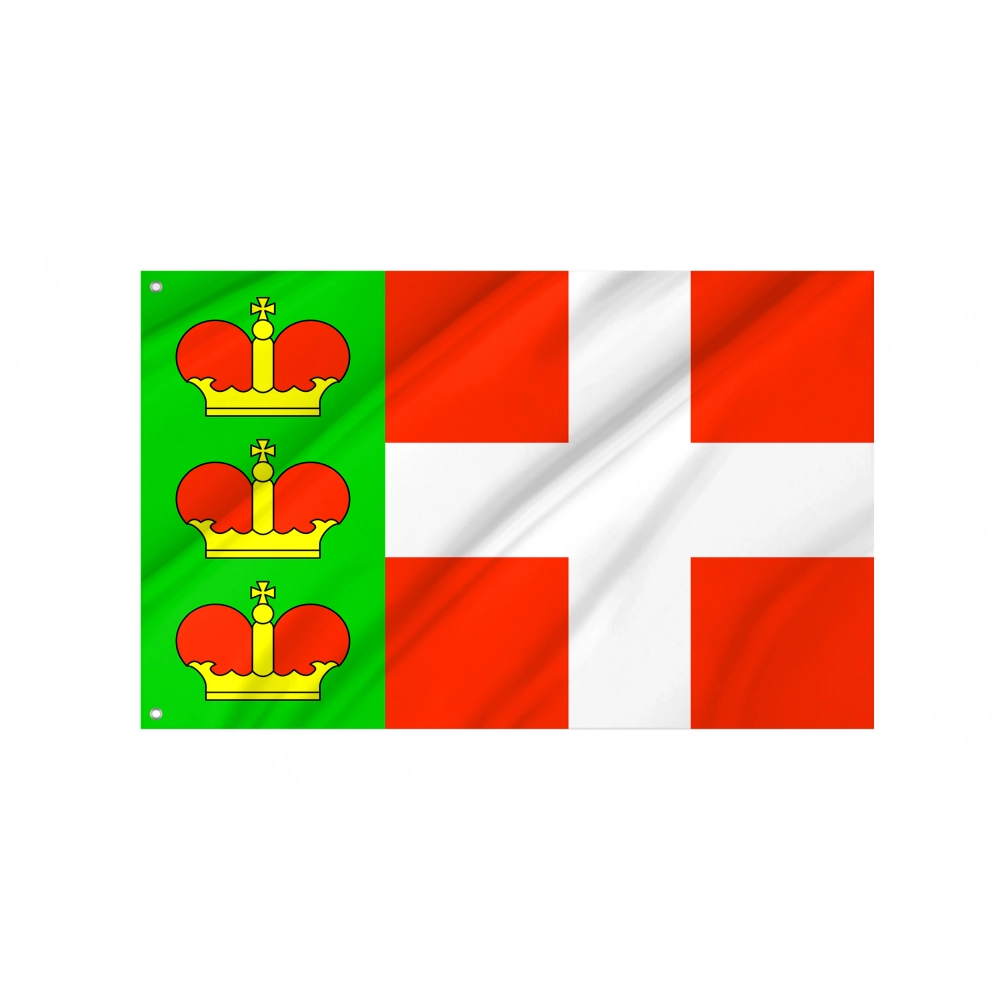 Iziaslav Flag for Indoor & Outdoor Use