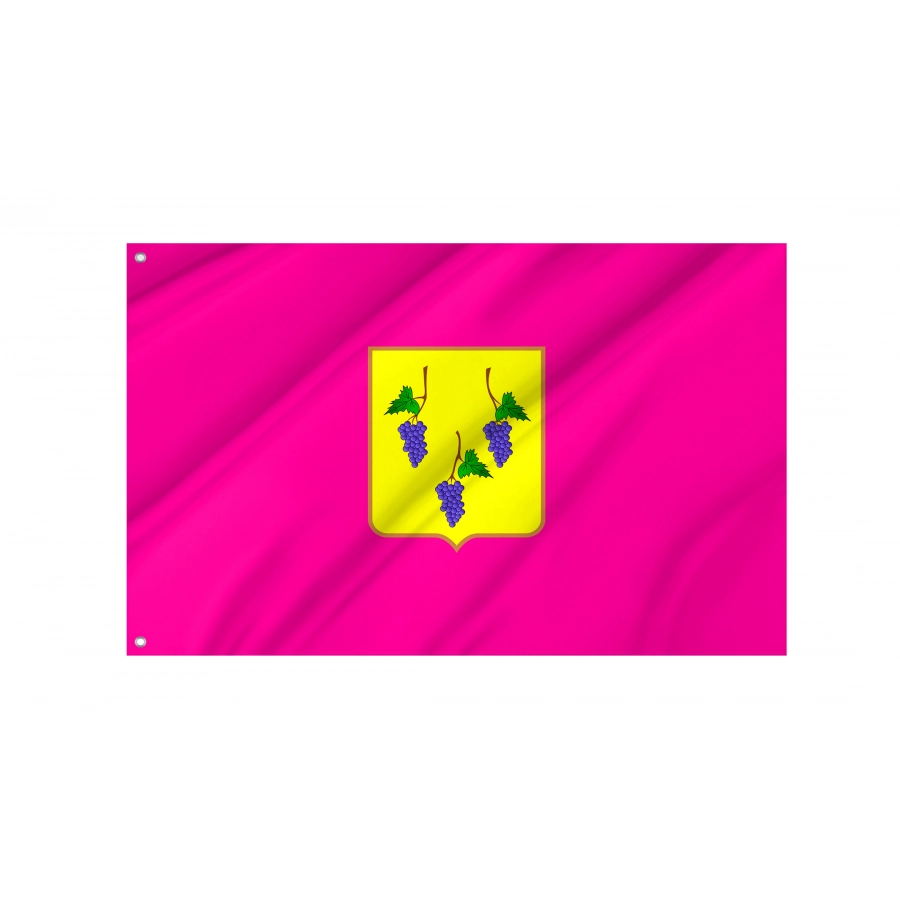 Flag of Izium and Izium Region, Kharkiv District, Patriotic Flags, Unique Design Print, Flags for Indoor & Outdoor Use