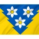 Khust Flag for Indoor & Outdoor Use - Imagine 2
