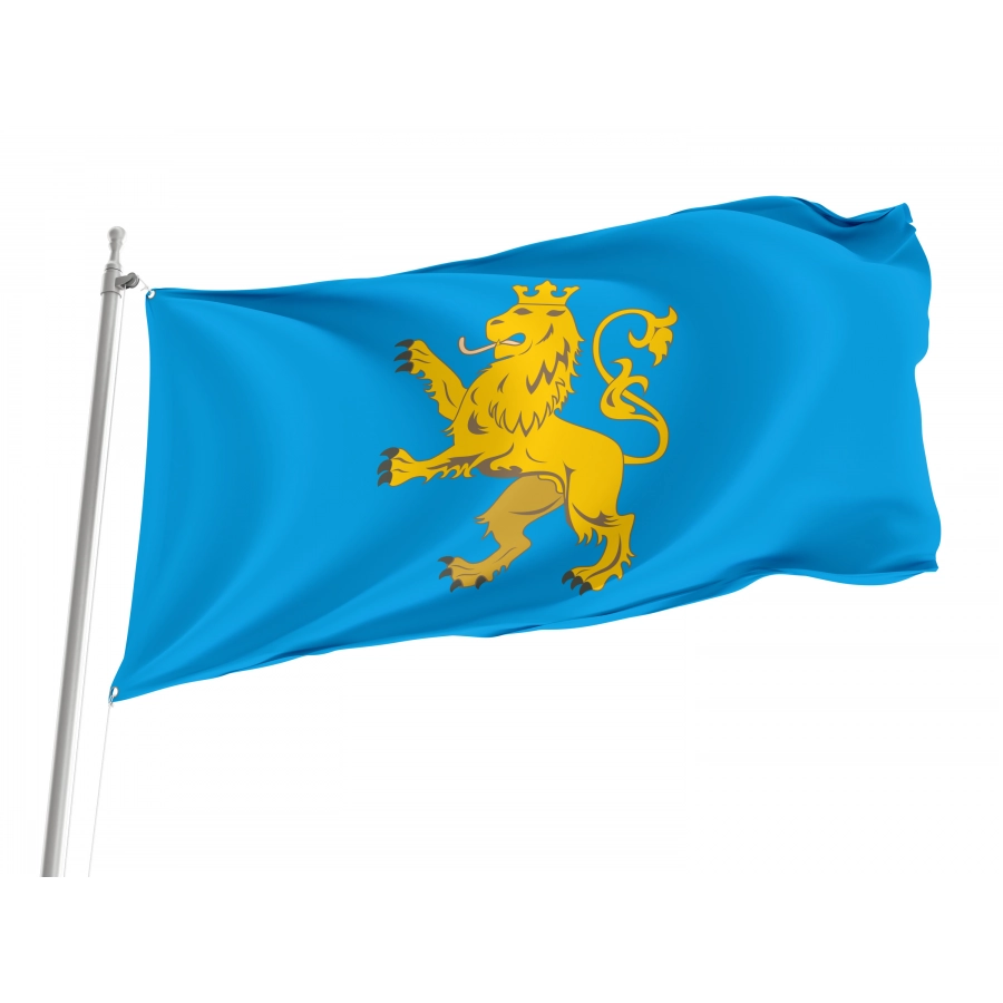 Flag of Lviv District, Patriotic Flags, Unique Design Print, Flags for Indoor & Outdoor Use