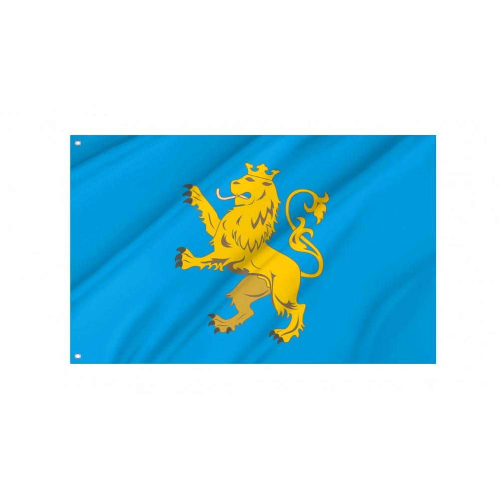 Lviv District Flag for Indoor & Outdoor Use