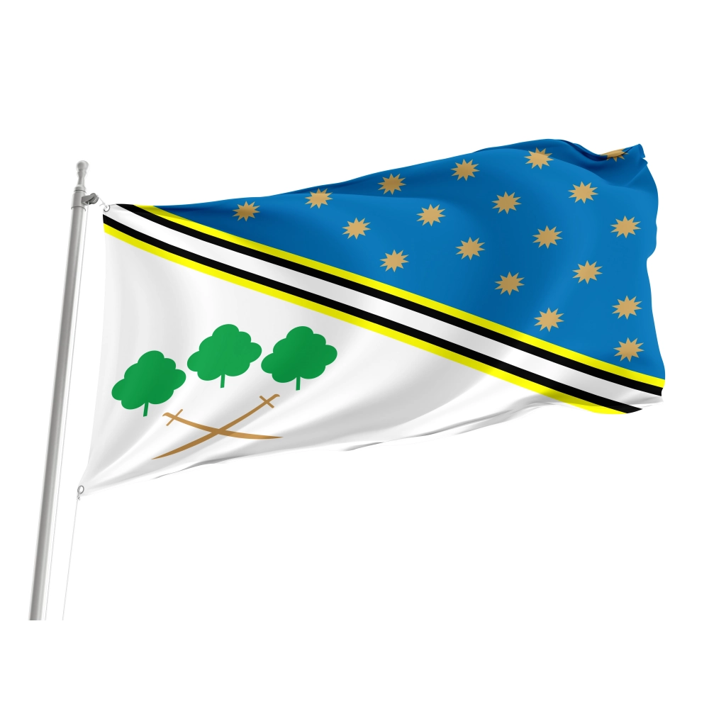 Piatykhatky Flag for Indoor & Outdoor Use