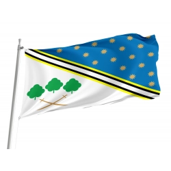 Piatykhatky Flag for Indoor & Outdoor Use