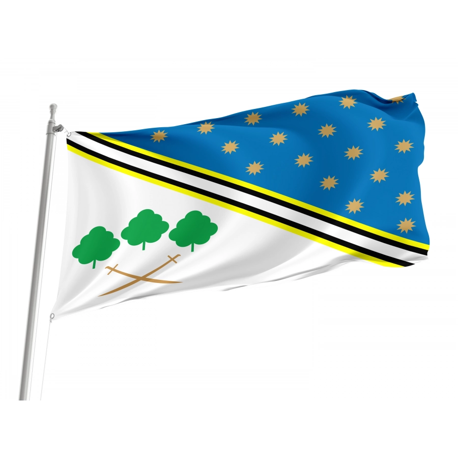 Flag of Piatykhatky Region, Dnipropetrovsk District, Patriotic Flags, Unique Design Print, Flags for Indoor & Outdoor Use