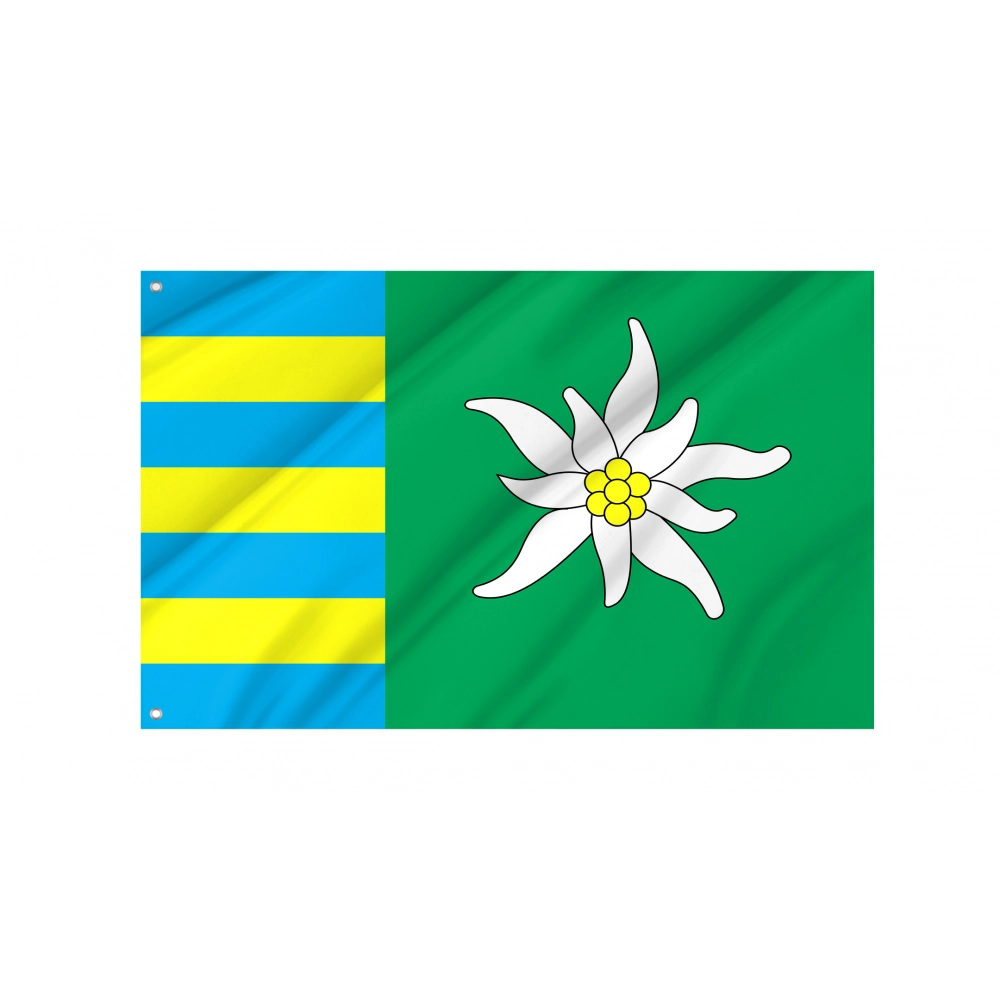 Rakhiv Flag for Indoor & Outdoor Use