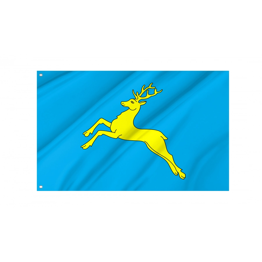 Flag of Sambir, Lviv District, Patriotic Flags, Unique Design Print, Flags for Indoor & Outdoor Use
