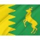 Staryi Sambir District Flag for Indoor & Outdoor Use - Imagine 2