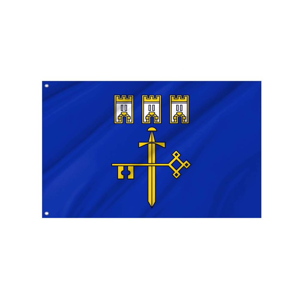 Ternopil District Flag for Indoor & Outdoor Use