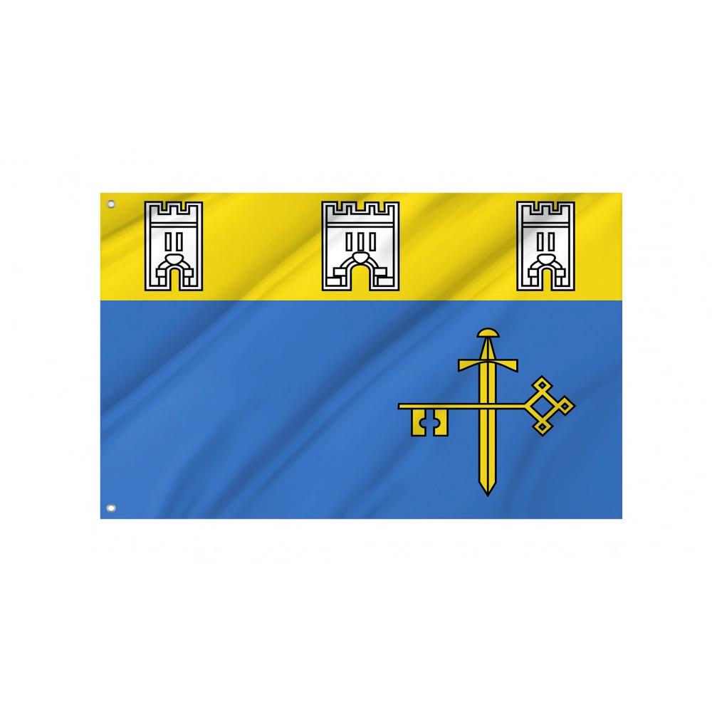 Ternopil until November 2003 Flag for Indoor & Outdoor Use