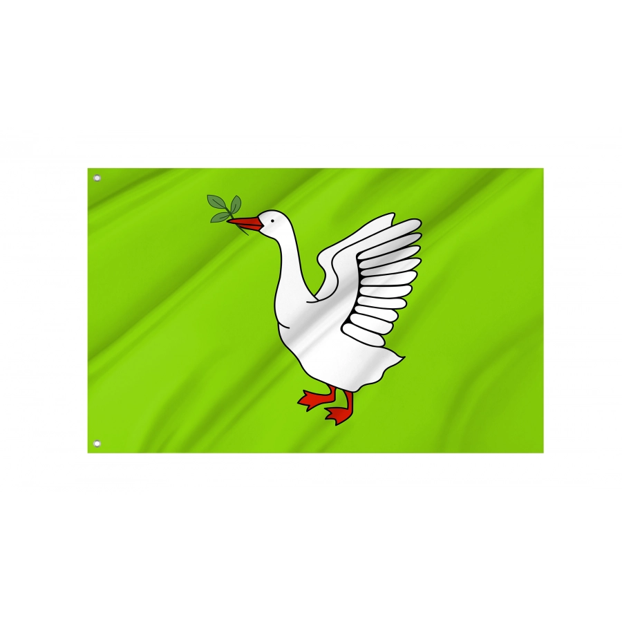 Flag of Truskavets, Lviv District, Patriotic Flags, Unique Design Print, Flags for Indoor & Outdoor Use