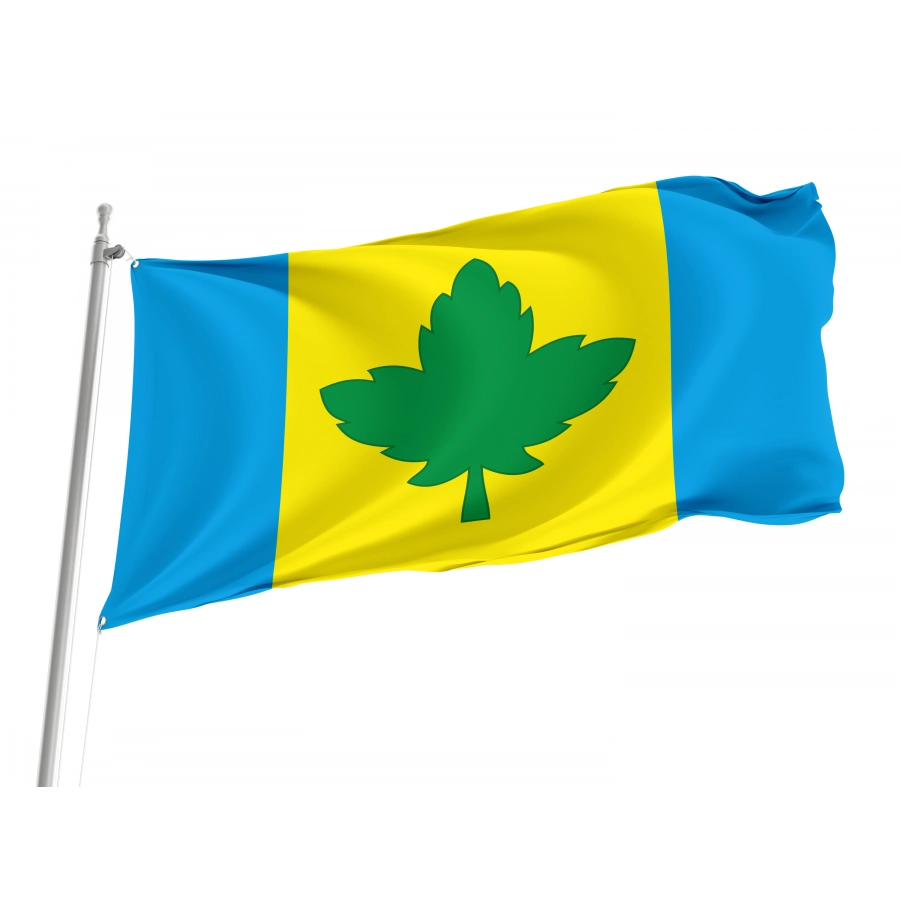 Flag of Yavoriv Region, Lviv District, Patriotic Flags, Unique Design Print, Flags for Indoor & Outdoor Use