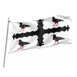 Flintshire Flag for Indoor & Outdoor Use