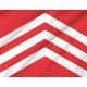 Glamorgan Flag for Indoor & Outdoor Use - Imagine 2
