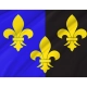 Monmouthshire Flag for Indoor & Outdoor Use - Imagine 2