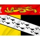 Norfolk Crest Flag for Indoor & Outdoor Use - Imagine 2