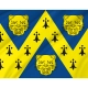 Shropshire Flag for Indoor & Outdoor Use - Imagine 2