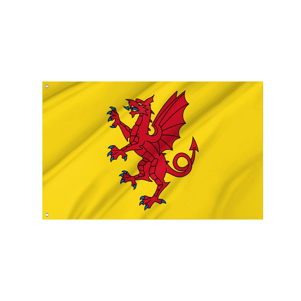 Somerset Flag for Indoor & Outdoor Use
