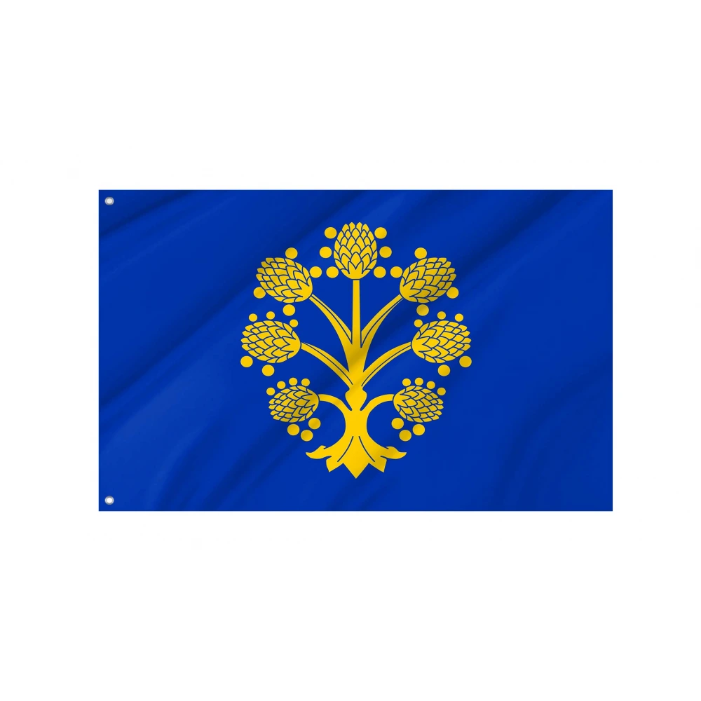 Appleby-in-Westmorland Flag for Indoor & Outdoor Use