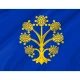 Appleby-in-Westmorland Flag for Indoor & Outdoor Use - Imagine 2